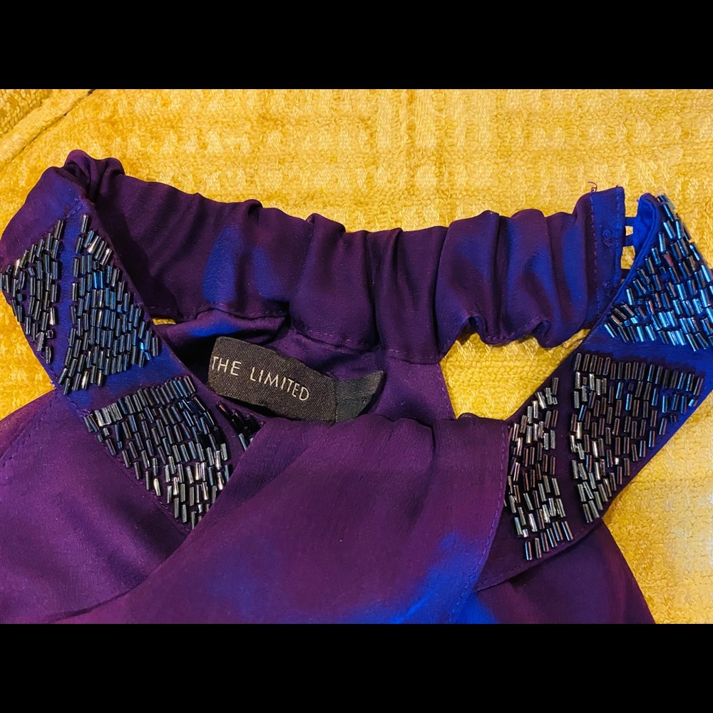 The limited blouse